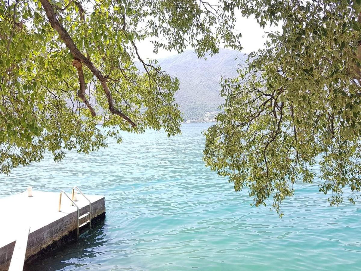 Montenegro Apartments - Private Beach Kotor Extérieur photo