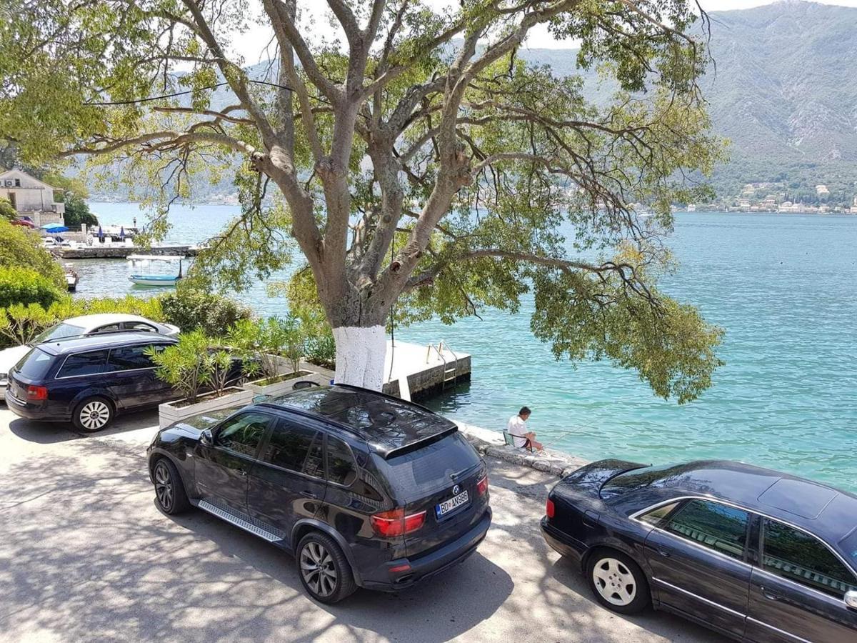 Montenegro Apartments - Private Beach Kotor Extérieur photo