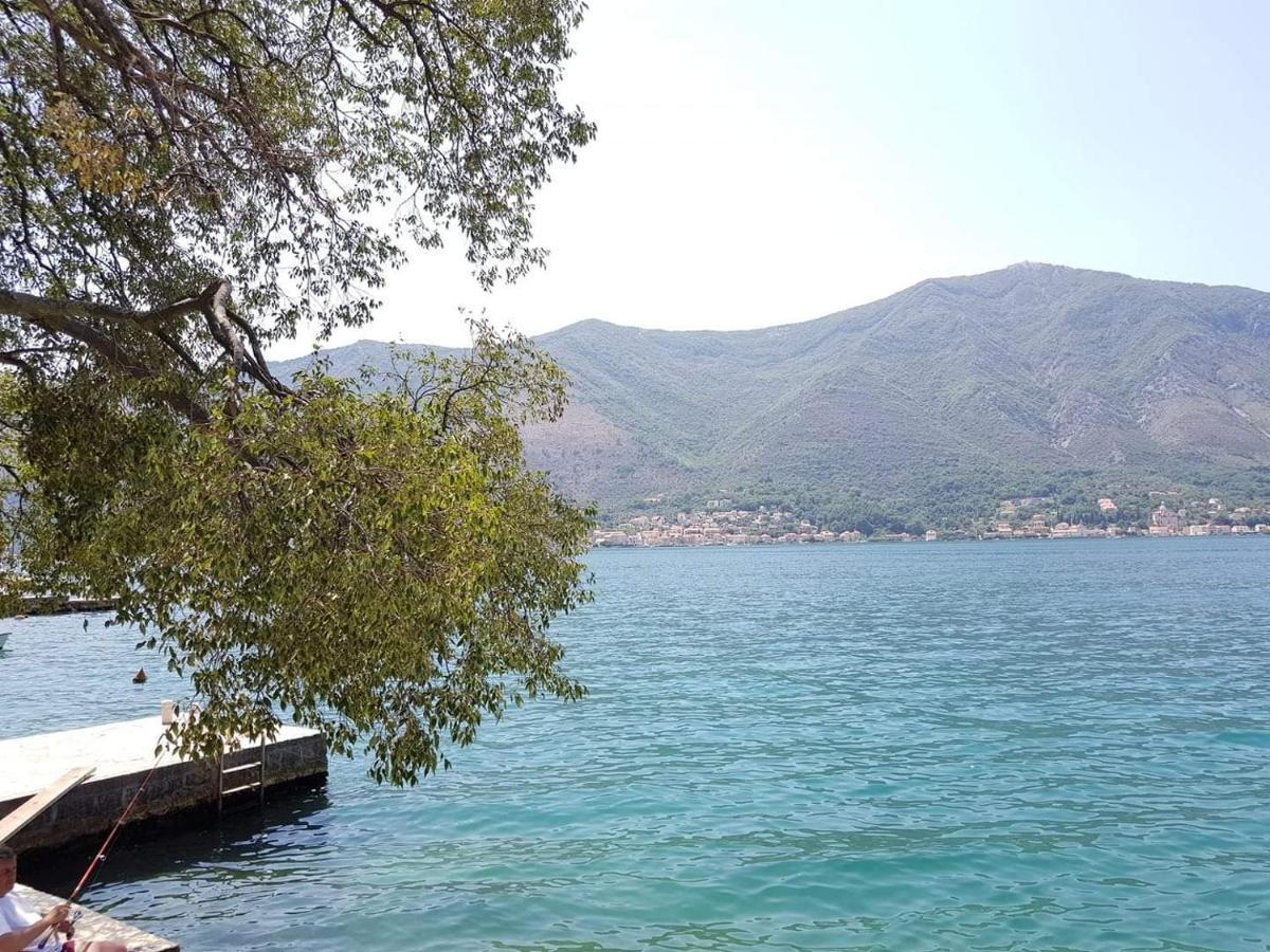 Montenegro Apartments - Private Beach Kotor Extérieur photo